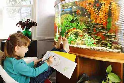 污水，鱼缸水过滤